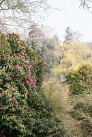 View to lake in distance with pink Rhododendron - Forde Abbey, Somerset