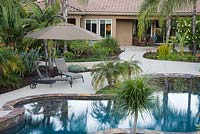 Tropical garden with Beaucarnea recurvata, Phoenix roebelenii, swimming pool and sun loungers