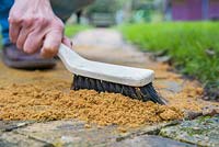 Using a hand brush gently brush and fill in the cracks between the bricks with coarse grit sand. Building a brick path