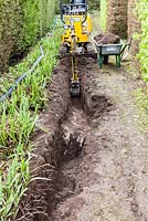 Excavating a drainage channel in the Beech walk. Veddw House Garden, Monmouthshire, Wales. April 2014. 