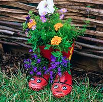 Pair of childrens Wellington boots used as fun plant container, planted with lobelia, French marigold, petunia and brachyscome.