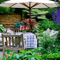 Stone terrace with pots of box, fuchsia, geranium, hosta, acer. Edged in beds of delphinium and cornus. Parasol shades wooden dining table, chairs, cushions. Vase of flowers.