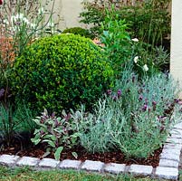 Box ball offset by silvery pinks and lavender creates visual punctuation mark on corner of a bed edged in granite setts.