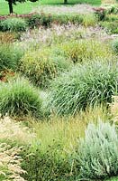 Mixed perennial planting dominated by grasses and laid out in a naturalistic style by Rosemarie Weisse. Westpark, Munich, Germany.
