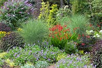 Take 12 border at Foggy Bottom, Bressingham Gardens, Norfolk, UK. Mixed border featuring Adrian Bloom's top twelve plants. August, summer.
