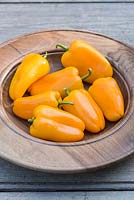 Capsicum annuum 'Snackor' yellow sweet peppers 