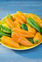 Hot Pepper 'Golden Ghost' F1 - Bhut Jolokia