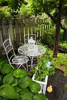 Hosta sieboldiana elegans and white metal bistro table and chairs beneath a Malus - Apple Tree in backyard garden in summer, Quebec, Canada