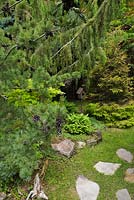 Bird house and flagstone path with Pinus parviflora glauca - Japanese White Pine, Juniperus - Juniper and Picea orientalis 'Skylands' - Spruce trees in backyard garden in summer, Quebec, Canada