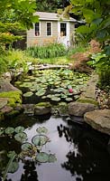 Pond with Nymphaea - Water Lilies and garden shed flanked by orange Hemerocallis 'Sammy Russel' - Dayliliy flowers through Cotinus - Smoke Tree in backyard garden in summer, Quebec, Canada