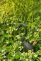 Houttuynia cordata - Chameleon plant with grasses and metal Heron bird sculpture in backyard garden in summer, Quebec, Canada