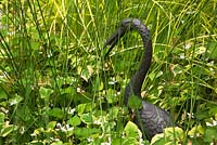 Houttuynia cordata -Chameleon plants and grasses with metal Heron bird sculpture in backyard garden in summer, Quebec, Canada