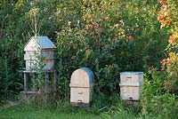 Home-made beehives in the garden