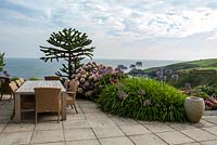 Seating and table on a terrace with Hydrangeas and Agapanthus in a coastal garden. The Lizard, Cornwall in August