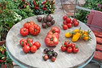 A display of tomato varieties on a round table including beefsteaks in the centre, and clockwise from the back 'Black Cherry', 'Ruthje', 'Banana Legs', 'Mexican Honey', 'Fahrenheit Blue', 'Haubners Vollendung' and 'Quest' 