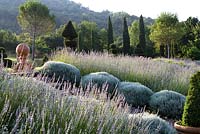 Midsummer in the garden at Domaine de Chatelus de Vialar.  Central steps, flanked by santolina, cut into long lavender border in the form of a gentle bank.
