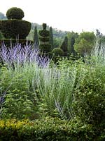 Long view of the garden at Domaine de Chatelus de Vialar.  Looking towards group of topiary yew.  Perovskia 'Blue Spire' in foreground.