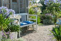 Painted wooden seat on a gravel terrace with agapanthus africanus and campanulatus in pots