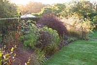 Autumn border including Stipa gigantea, Berberis, Crocosmia, Fennel, Dipsacus, Sambucus nigra - black elderflower with summerhouse beyond