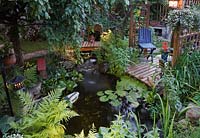 Overhanging Malus 'Royal Beauty' - Apple tree leaves and illuminated brown wooden pergola with blue chairs plus footbridge over pond with Eichhornia - Water Hyacinth, Nymphaea - Waterlilies and bordered by Matteucia 'Ostrich' - Fern plants in urban backyard garden in summer at dusk, Quebec, Canada