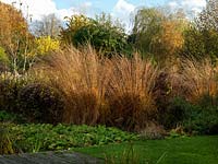 Marginal planting besides a stream, ornamental grasses and trees provide a dramatic backdrop with autumn colour.