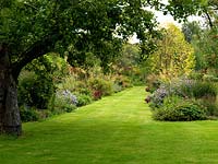 A large double herbaceous border and grass path viewed through ancient apple trees.