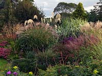 The Anniversary Grass Garden including Miscanthus, Cordaderia, Deschampsia and Stipa grasses with perennials - Persicaria amplexicaulis 'Atrosanguinea', Verbena bonariensis and Sedum.