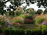 The Anniversary Grass Garden with Miscanthus, Cordaderia, Deschampsia, Stipa, Sedum and Verbena. On the far left Aster amellus 'King George' is planted with Aster Amellus 'Weltfriede', and on the far right pink Aster amellus 'Brillant' is planted with Persicaria.