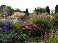 The Anniversary Grass Garden with Miscanthus, Cordaderia, Deschampsia, Stipa, Sedum, Verbena with Aster Amellus 'Weltfriede ' and Aster amellus 'King George'.