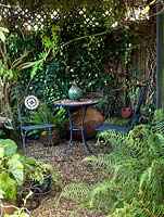A seating area in a shady corner surrounded by ivy and ferns in containers.