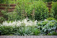 Modern summer garden. Border setup by astilbe, hosta jucca and hydrangea paniculata as a background