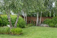Summer border with deciduous birch trees, shrubs and grasses. This set of plants looks good also during tough winter.