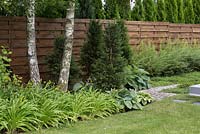 Border of birch trees, conifers and deciduous shrubs. Hostas and hemerocalis creat a compact carpet under the tree