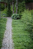 Stone pathway through modern garden