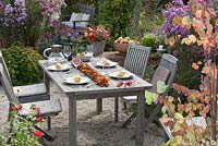 Table laid on gravel terrace with garland of pink rose hips and colourful Autumn leaves, flower beds with Aster, Verbena, Salvia