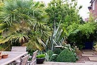 A border with lush Australiasian inspired planting surrounding a bird bath includes Trachycarpus fortunei palm, Phormium tenax, Dicksonia antartica and Buxus sempervirens topiary.