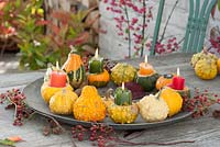 Tray with candles and Cucurbita as wreath on metal plate, five pumpkins as candle holders