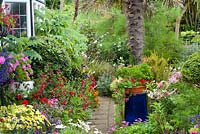 Front garden with paved path between colorful borders and container planting. Lobelia, Petunia, Fuchsia, Pelargonium, roses, Lavandula angustifolia, Diascia, Geranium, Argyranthemum frutescens. 