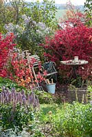 Garden table and chair with Euonymus alatus, asters and Agastache foeniculum