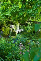 Garden bench in secluded garden. May