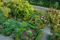 Aerial view of small formal town garden with roses, box edging and medlar tree. May