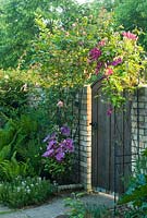Oak garden gate framed by arch covered with clematis and rose. May