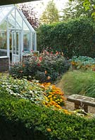 Garden view with traditional greenhouse, box hedge, summer bedding including marigolds, grasses and Dahlia 'Bishops Children'.