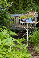 Old S-shaped blue wooden bench and white metal bistro table garnished with tea kettle and bouquet of pink Diascia 'Diamonte' flowers in backyard country garden in summer, Quebec, Canada