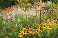Birdhouse with yellow Rudbeckia 'Indian Summer' - Coneflowers and orange Papaver 'Shirley Mother of Pearl' - Poppy flowers in backyard rustic garden in summer, Quebec, Canada