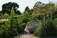 Dry Garden at RHS Hyde Hall