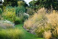 Grass path through collection of grasses within the Systematic Beds at Cambridge Botanic Gardens