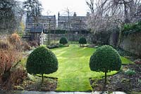 Formal town garden in winter. Central lawn surrounded by herbaceous borders. Box topiary, small summer house and pleached field maples.