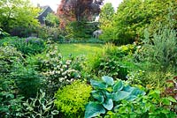 View of neatly kept plantsmans garden. Lawn, mixed borders planted with very wide range of choice plants including hostas, rodgersias, viburnum, aconitum and rheum