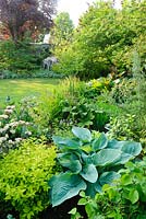 View of neatly kept plantsmans garden. Lawn, mixed borders planted with very wide range of choice plants including hostas, rodgersia, viburnum, osmunda irises and rheum